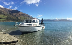 Queenstown Fishing